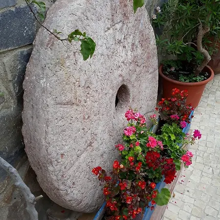 Vandrerhjem Micaela Charming Torremolinos