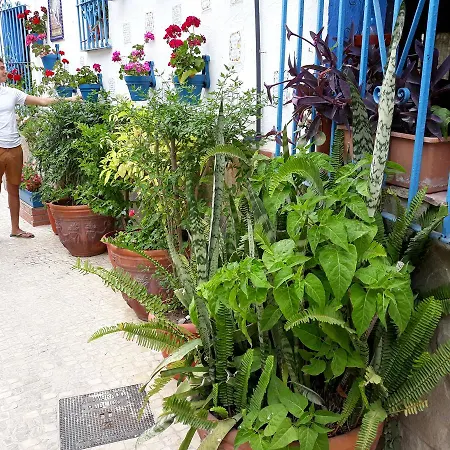 Guest house Micaela Charming *