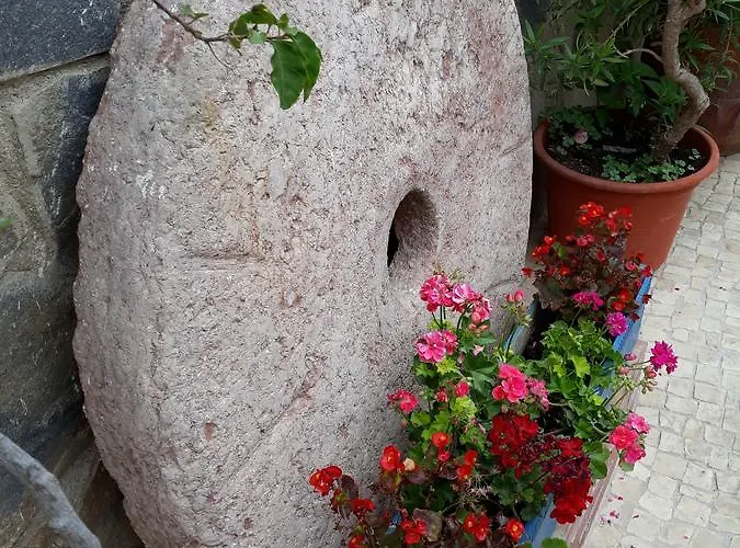 Guest house Micaela Charming Torremolinos